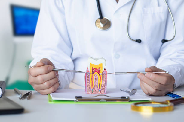 Best Pediatric Emergency Dentist in Hamilton, AL